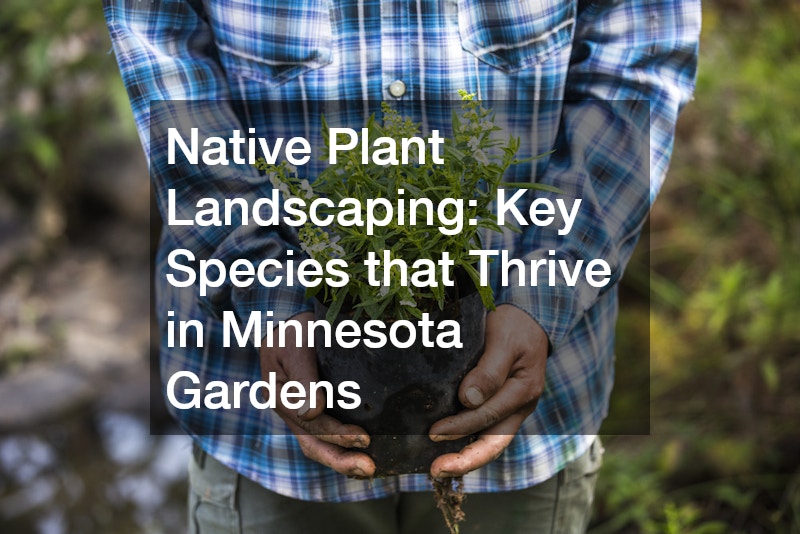 Native Plant Landscaping Key Species that Thrive in Minnesota Gardens